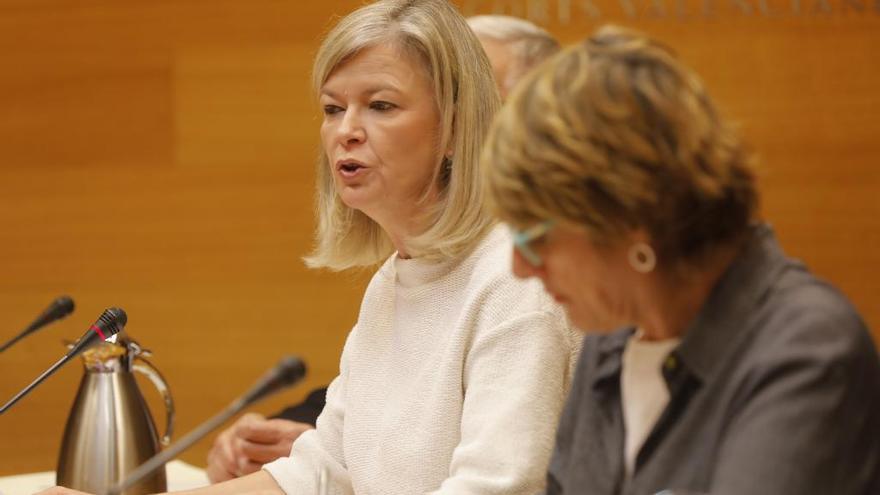 La consellera Gabriela Bravo, en una comparecencia reciente en les Corts.