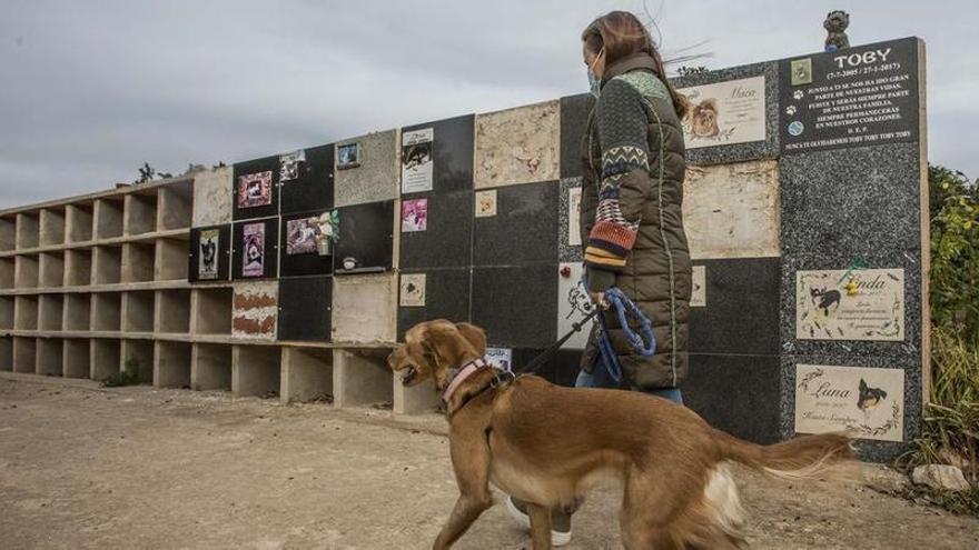 La creación de un cementerio para animales de compañía se encuentra entre las ideas vecinales que han pasado la criba