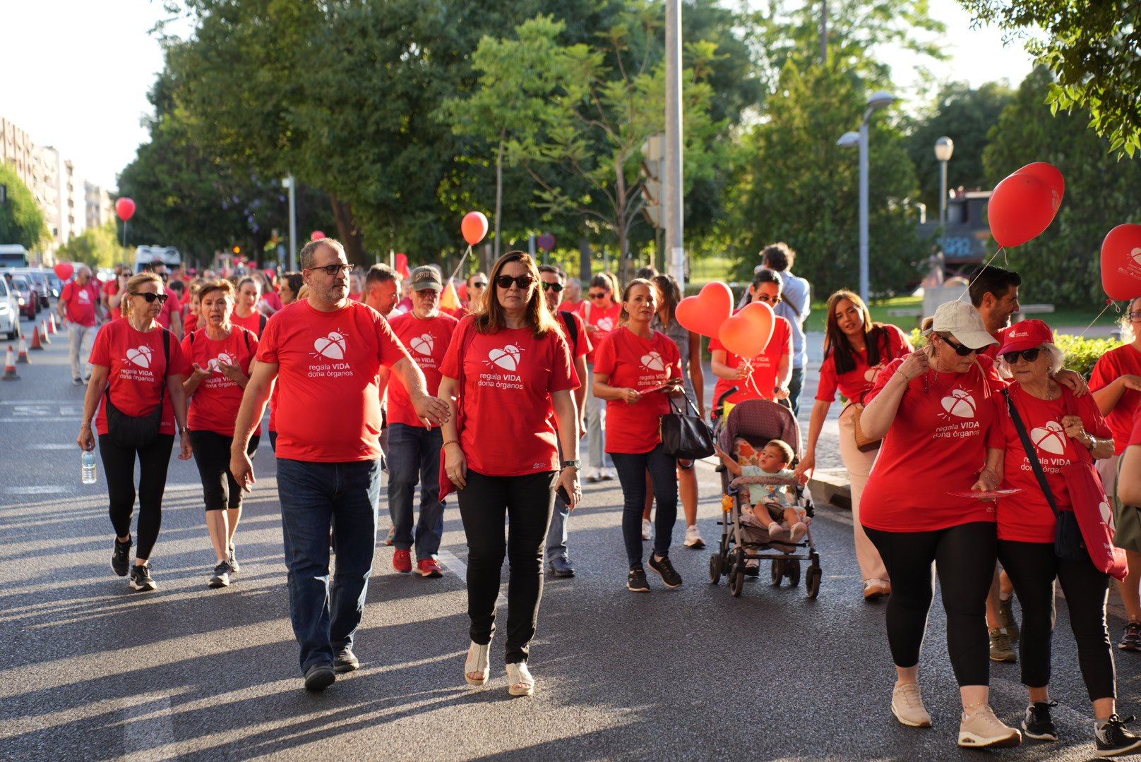La marcha por la donación de órganos, en imágenes