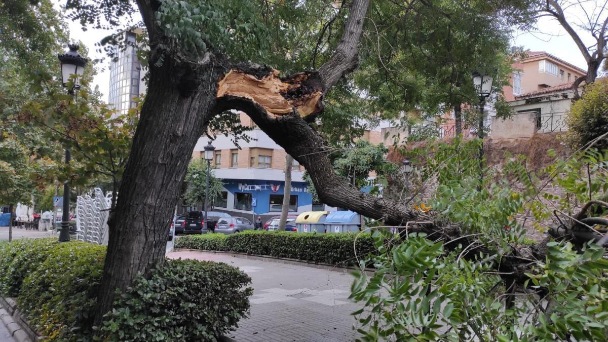 Los bomberos atienden casi una decena de incidencias en Cáceres por el temporal