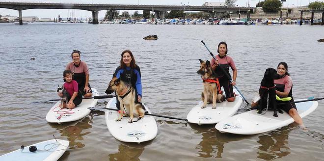 Clase de paddle surf con perros, en la Playa de Agro en Bouzas.