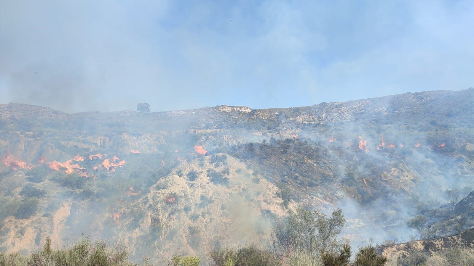 Incendio forestal en Villanueva de Viver