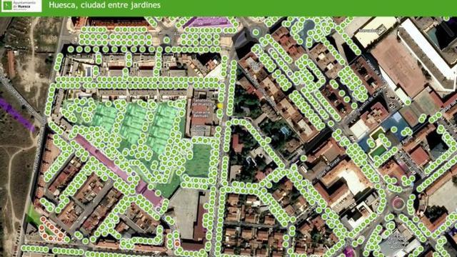 Visor Arbomap dispuesto por el Ayuntamiento oscense.  | AYUNTAMIENTO DE HUESCA