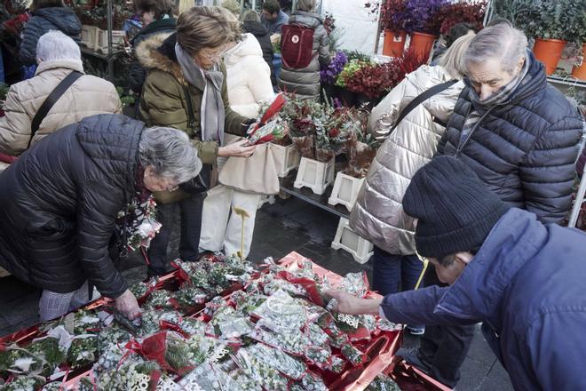 Les imatges de la Fira de Santa Llúcia de Manresa