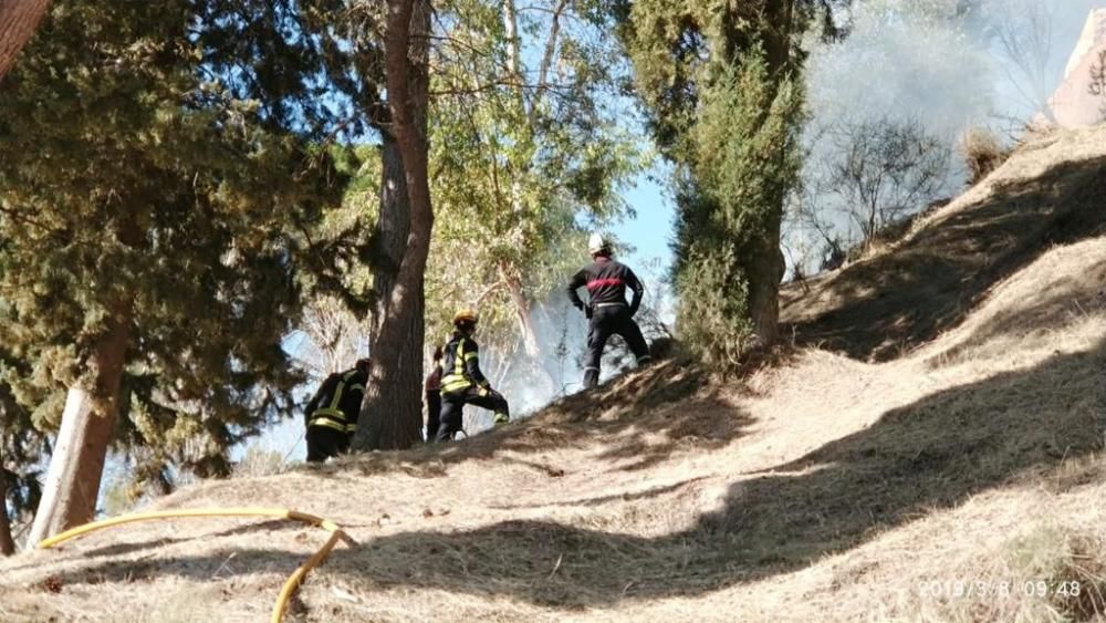 Incendio forestal en la partida Rqier Alt de Alcoy