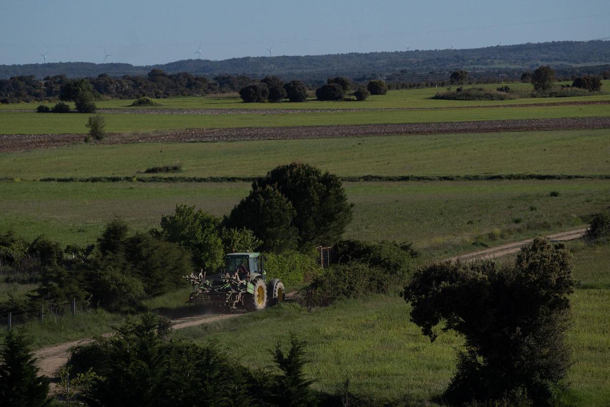 Un agricultor con el tractor por un camino de Zamora