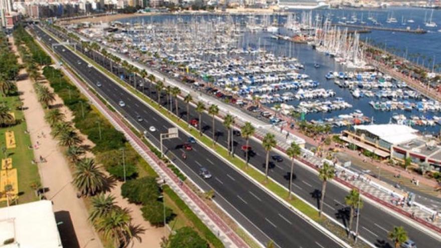 Trabajos de poda en las palmeras en la Avenida Marítima