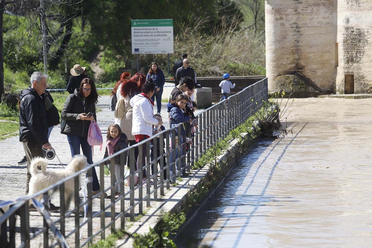 Los cordobeses se echan a la calle en la tregua de la lluvia