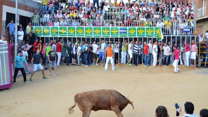 Graderio instalado durante el Congreso de Toros de Cuerda.