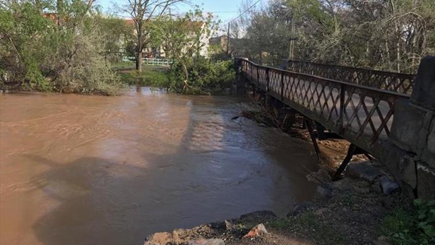 Afecciones en el cauce del Jalón tras la última avenida