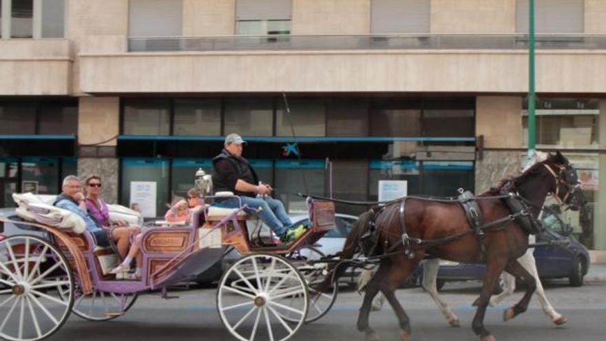 Jubel bei Mallorcas Tierfreunden: Pferdekutschen in Palma sollen abgeschafft werden