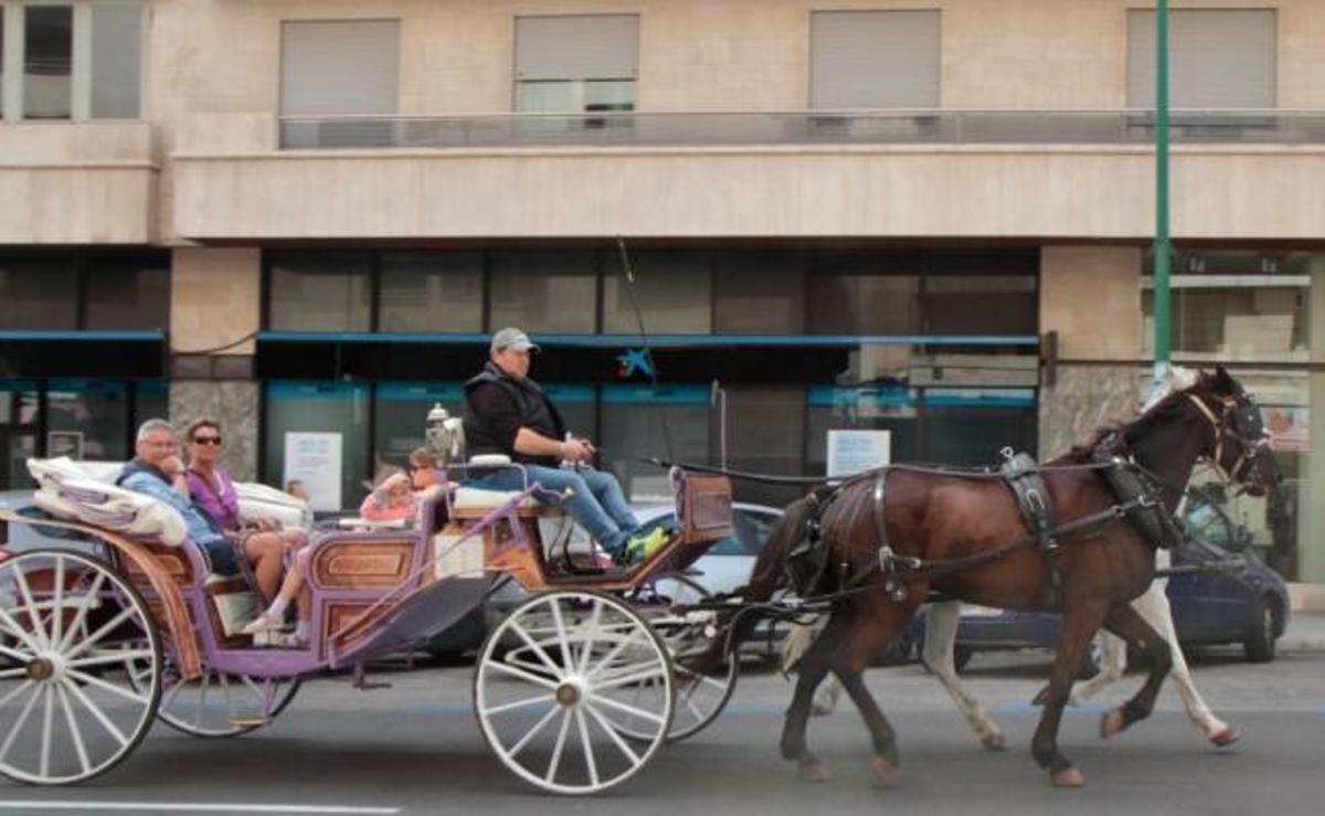 Pferdekutschen sind bei Touristen beliebt.