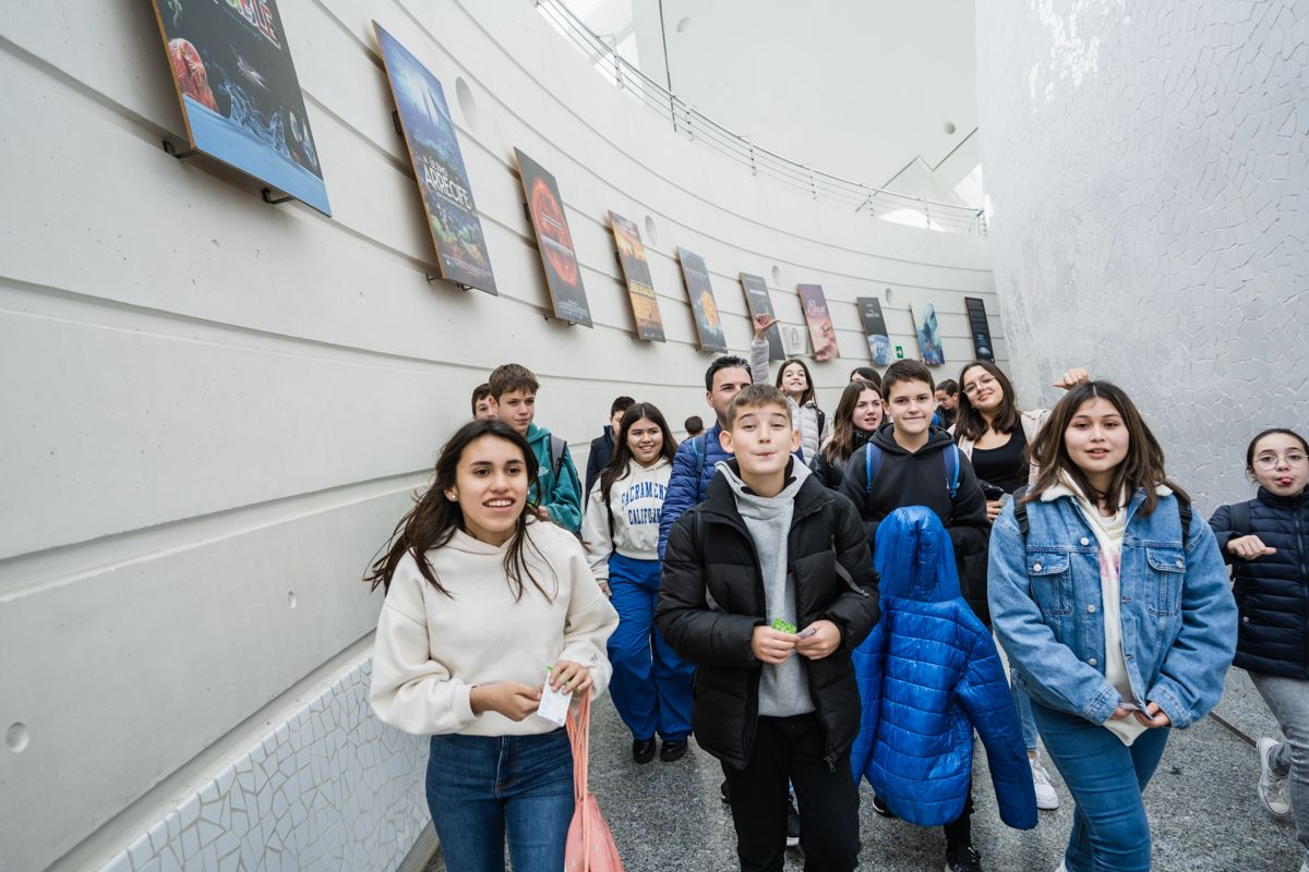 El colegio HHDC de Tavernes de la Valldigna visita la Ciutat de les Arts i les Ciències