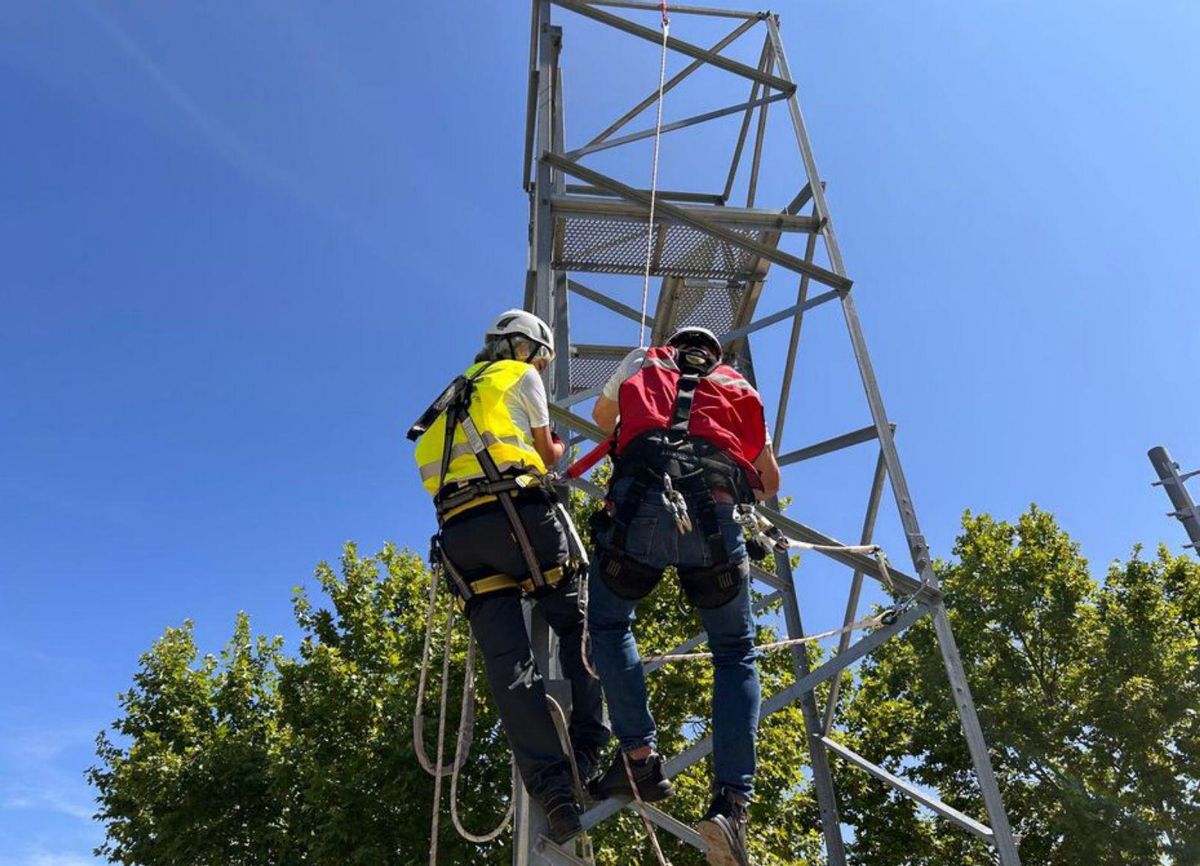 Estos proyectos facilitan la inclusión social y laboral. | Iberdrola