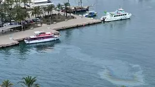 La asociación de vecinos del Passeig Marítim denuncia un vertido de gasoil por parte de un catamarán en el muelle de Golondrinas