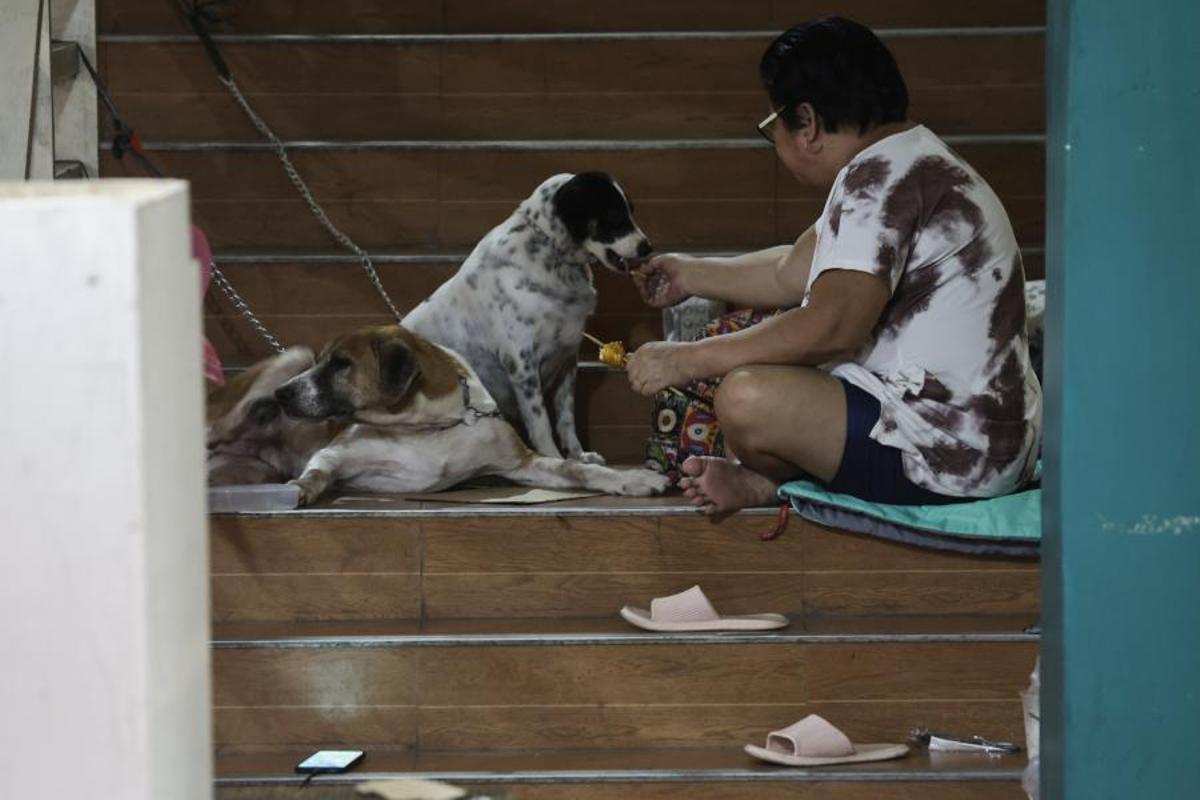 Filipinas evacúa a casi un millón de personas ante la llegada del supertifón Fung-wong.