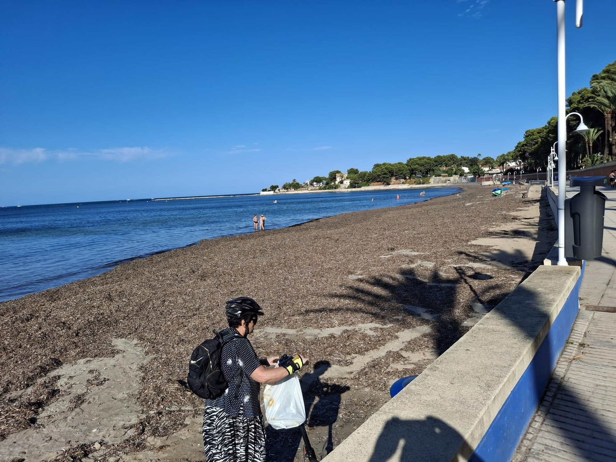 ¡Esto es vida!: manto de posidonia, aguas cristalinas y paz absoluta en la Marineta Cassiana de Dénia