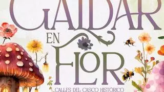 ‘Gáldar en Flor’ vuelve el casco histórico