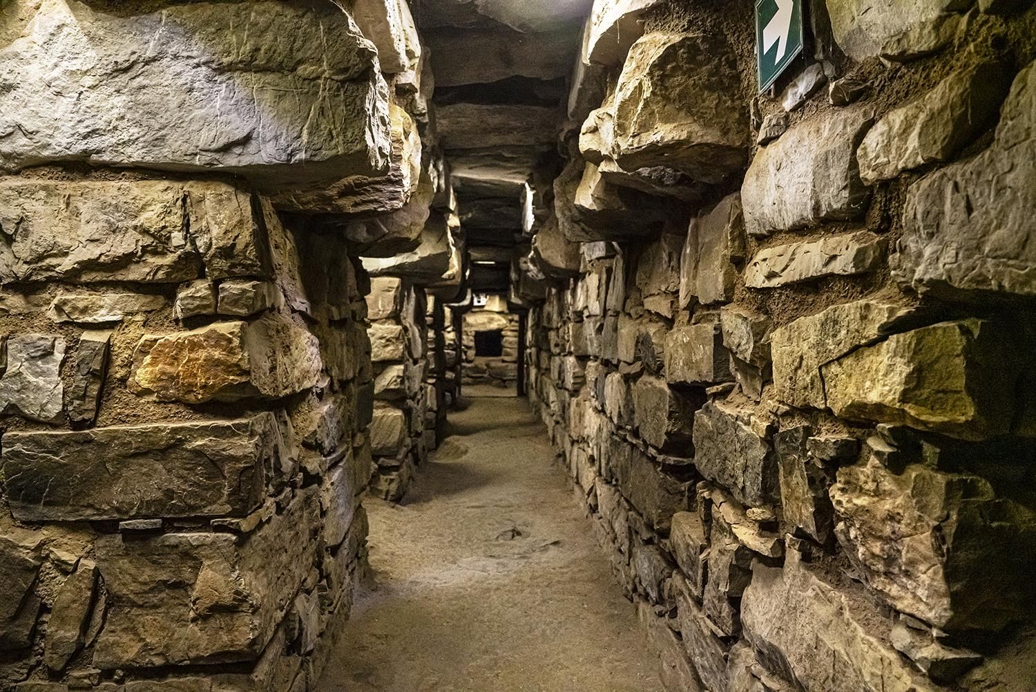 Imagen de Chavín.