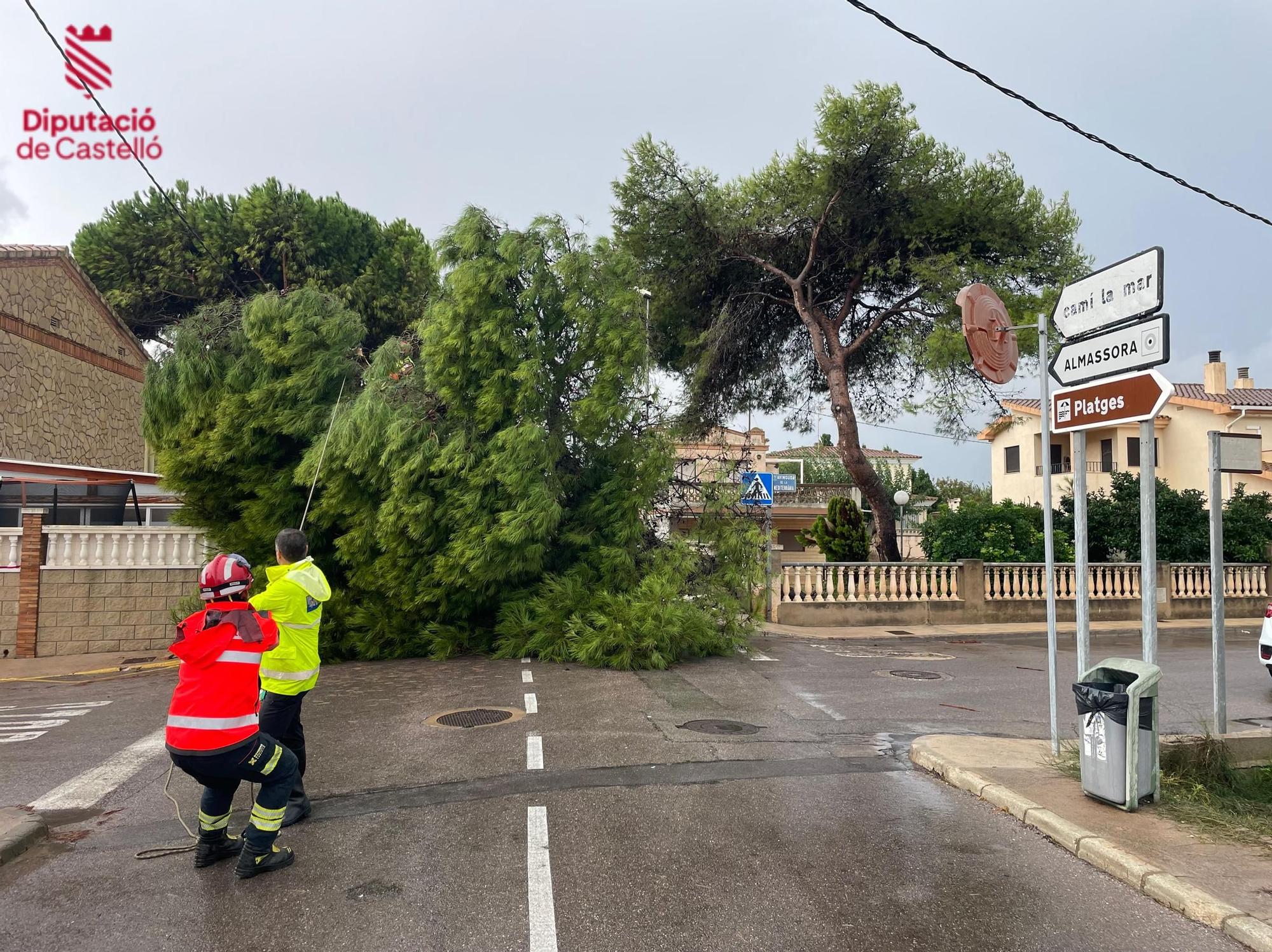 Galería: Las imágenes de las intervenciones de los bomberos duranta la dana