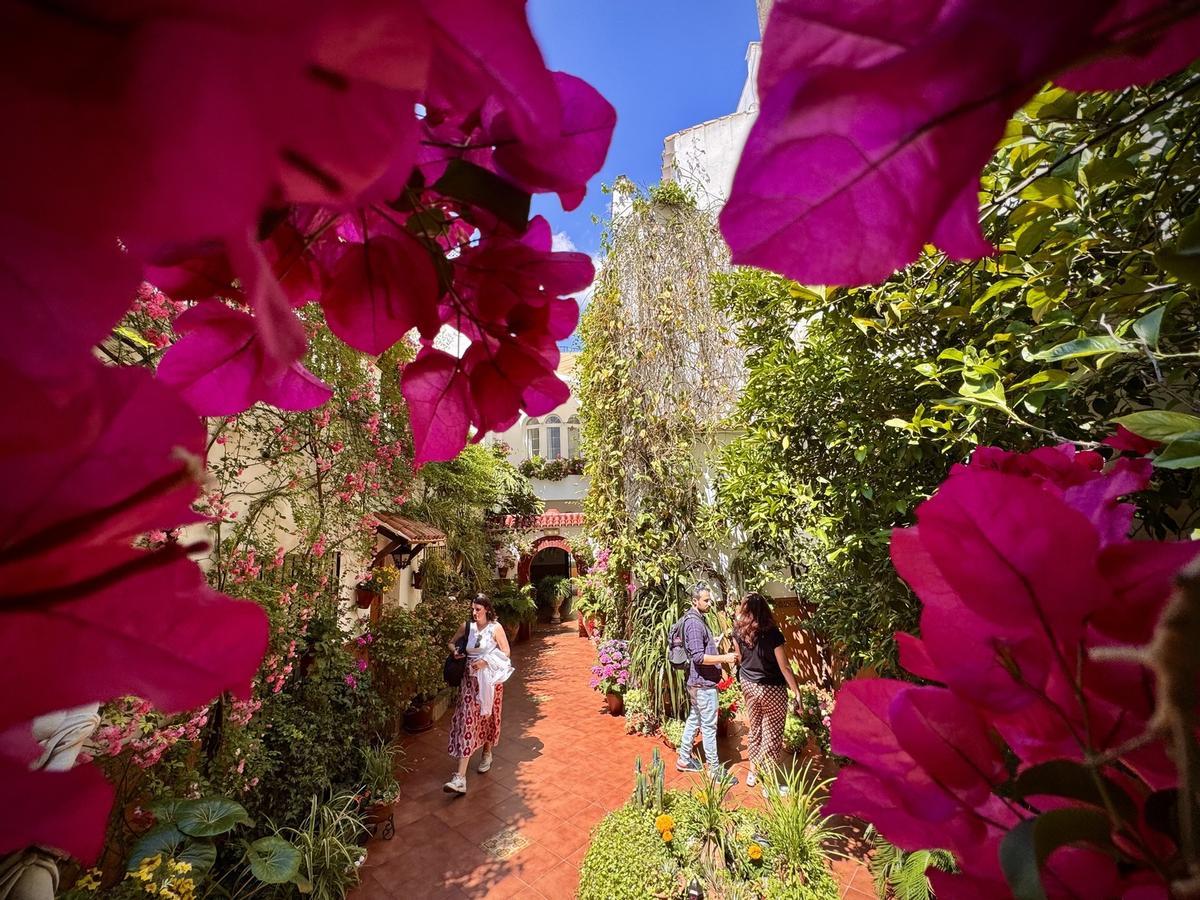 La Ruta 3 de los Patios de Córdoba, en imágenes