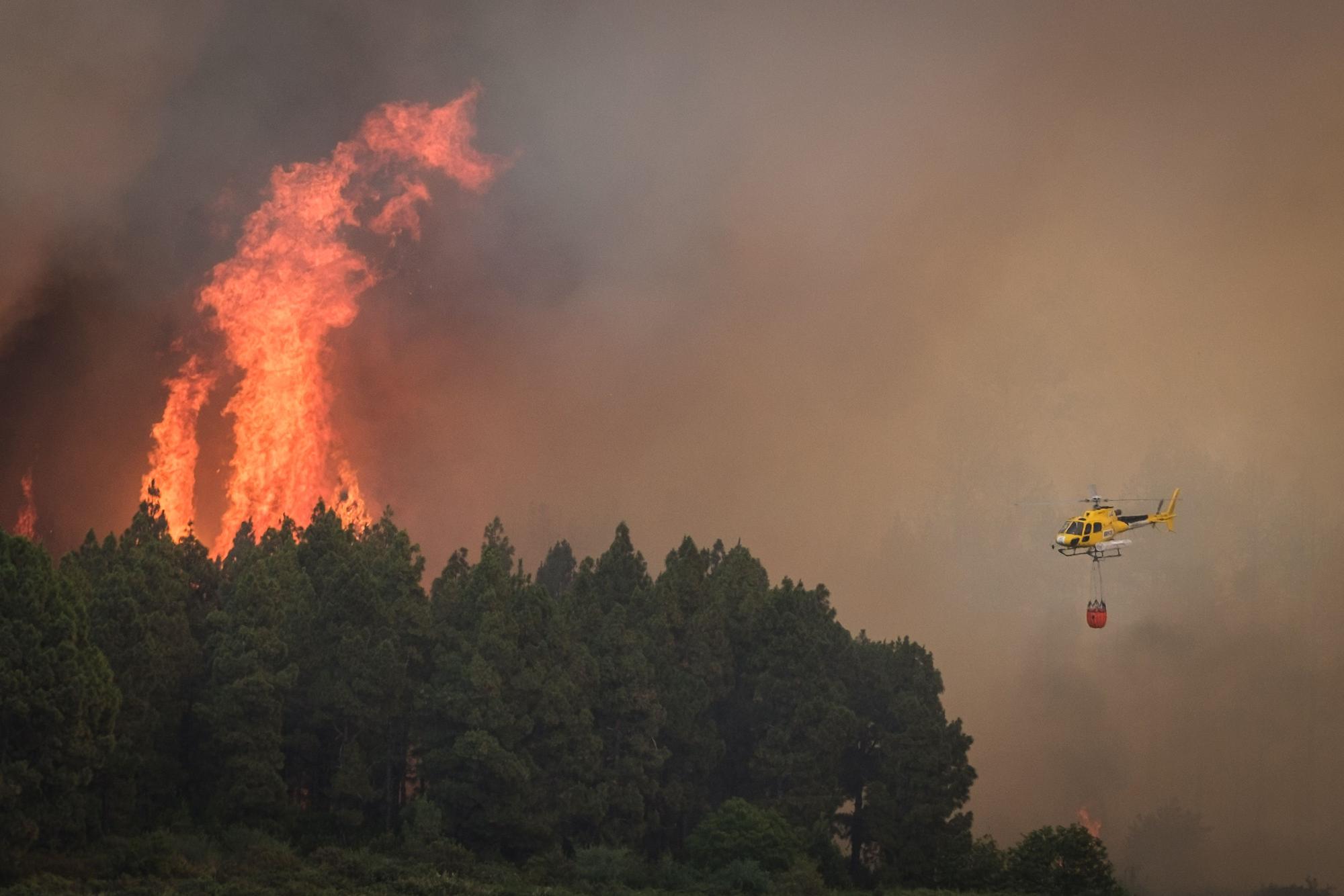 El incendio forestal de Tenerife, en imágenes