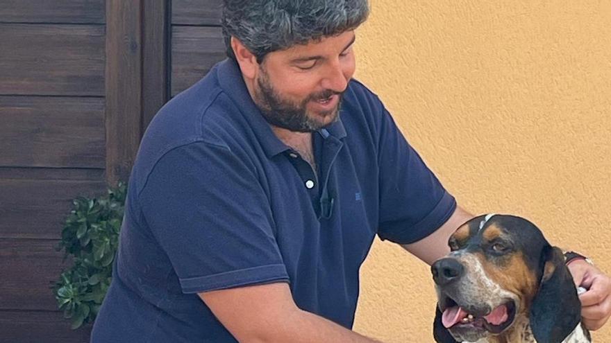 Los murcianos podrán deducirse el 30% de los gastos de veterinario en la próxima renta