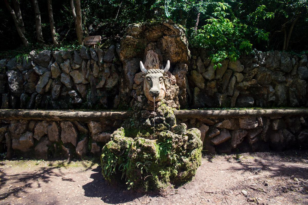 Fuente del buey.