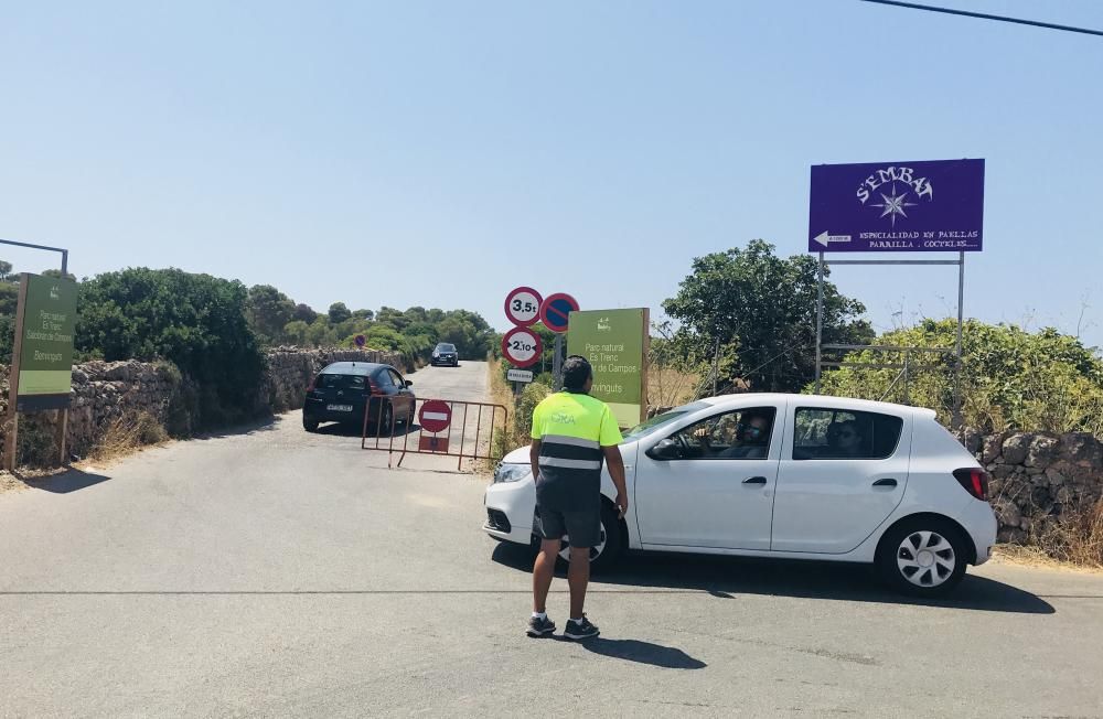 Colapso de vehículos para llegar a las playas de es Trenc y ses Covetes de Campos