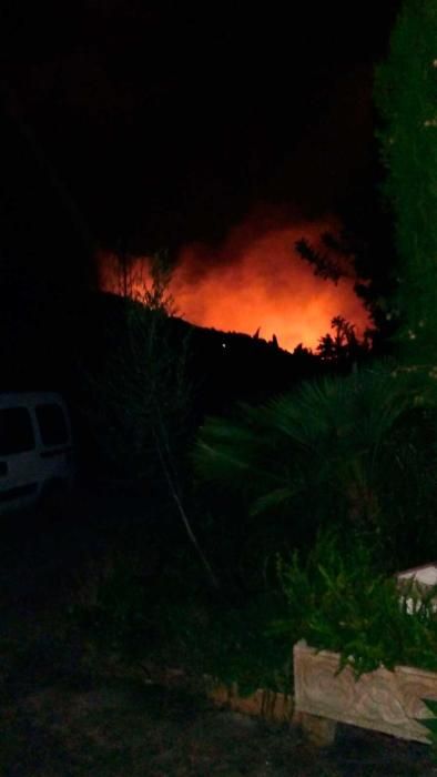 Un gran incendio forestal causa alarma en el Port de Pollença