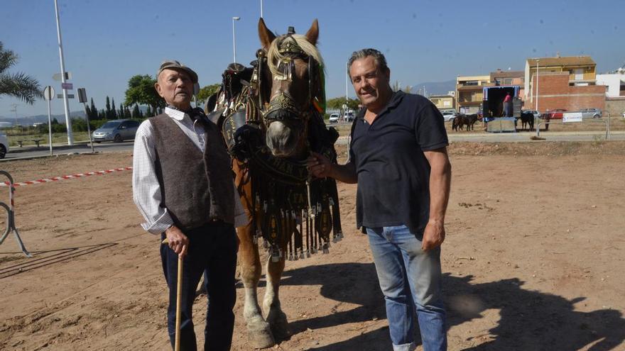 La resistencia del tiro y arrastre en Castellón