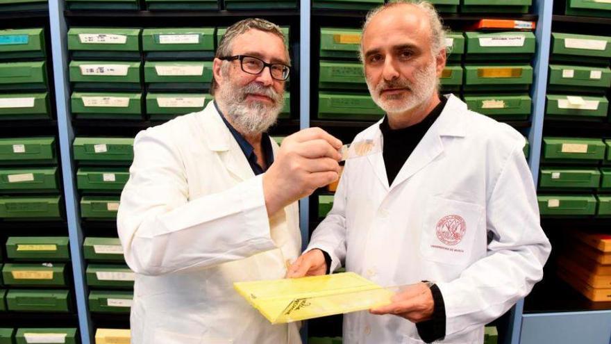 De izquierda a derecha: Los profesores Luis Puelles y José Luis Ferran de la Universidad de Murcia.