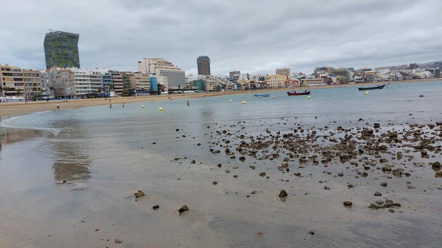 El mar canario sufre desde marzo un calentamiento sin precedentes