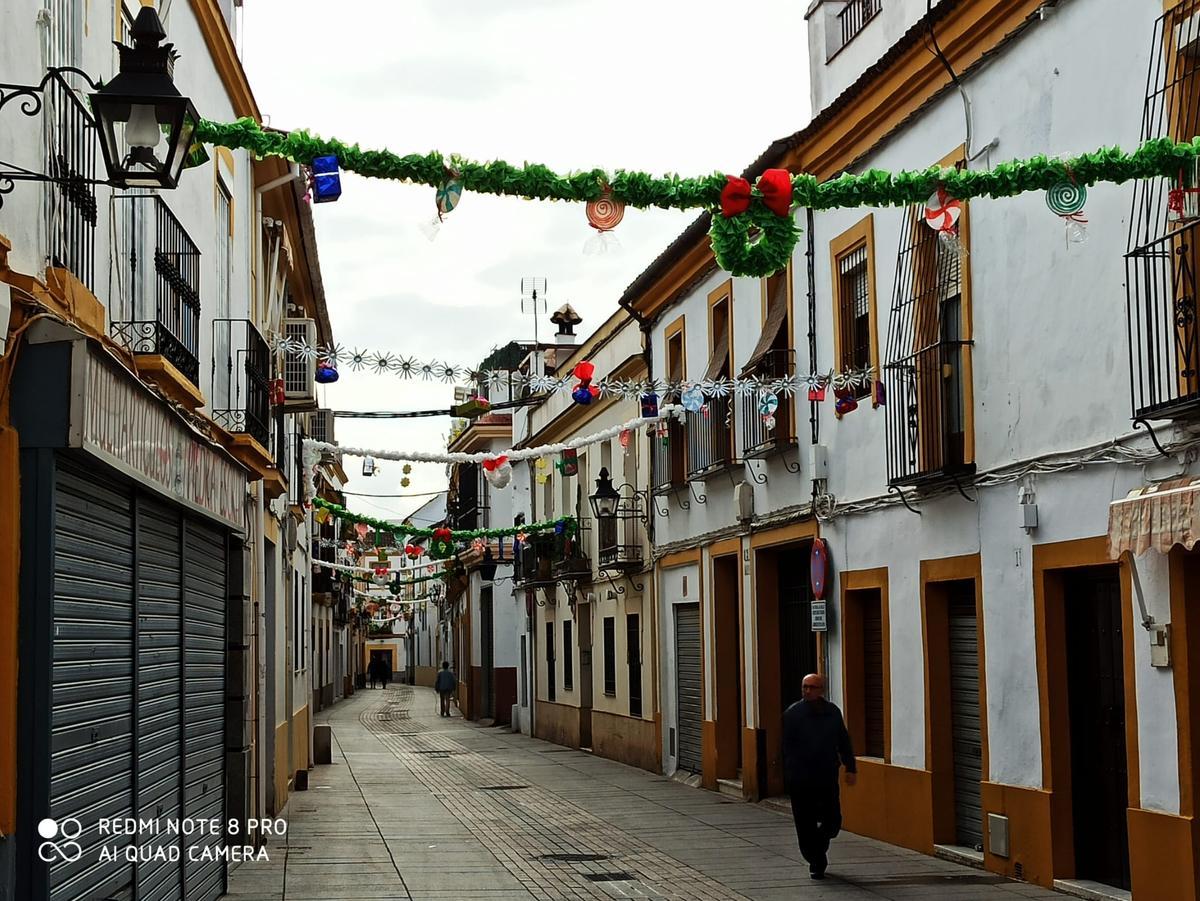 Decoración en la calle Obispo López Criado.