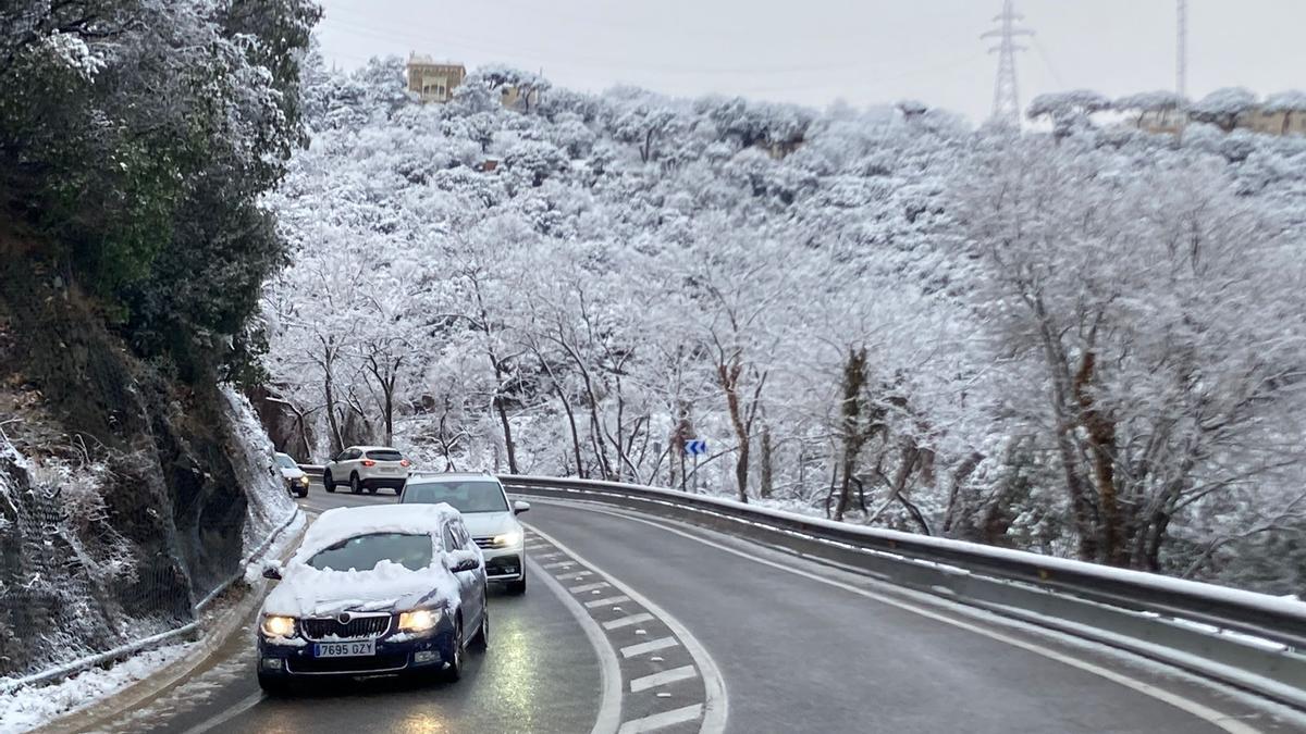 Collserola, con nieve