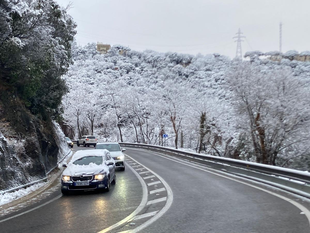 Collserola, con nieve