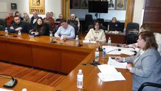 Vox se desmarca del PP y pide mantener la escuela de música de Tineo: "Es un servicio que no se puede perder"