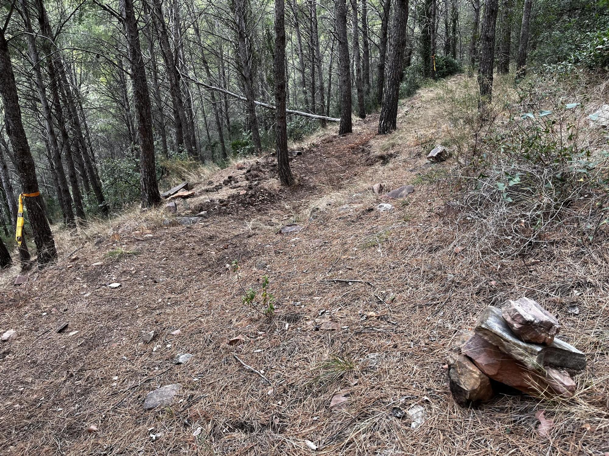 Las imágenes de la pista ilegal abierta en la Vilavella para practicar BTT