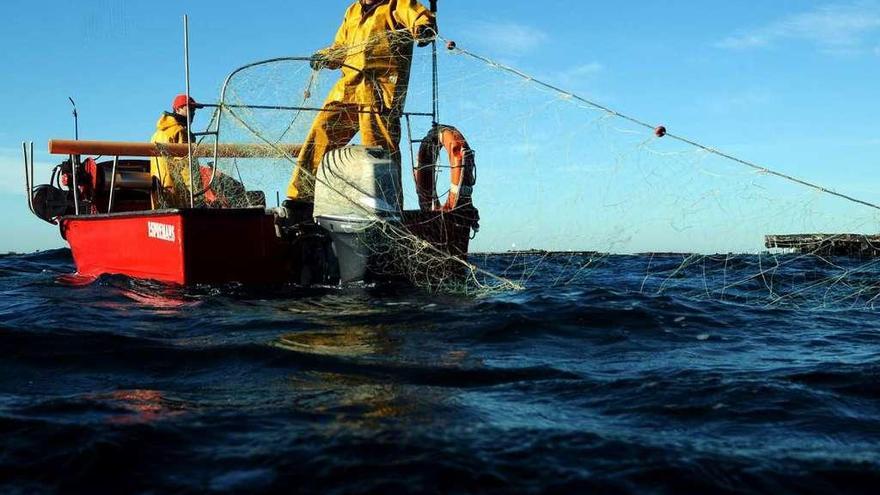 Pescadores durante la apertura de la campaña de centollo en la ría de Arousa. // Iñaki Abella