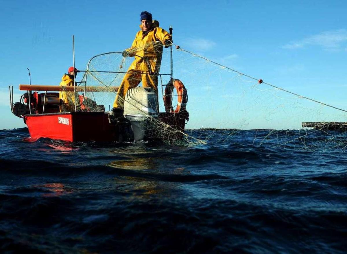 Pescadores durante la apertura de la campaña de centollo en la ría de Arousa. // Iñaki Abella