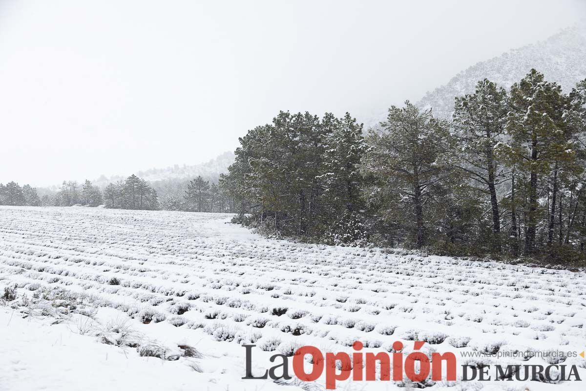 Continúa la nevada en las zonas altas de la comarca del Noroeste