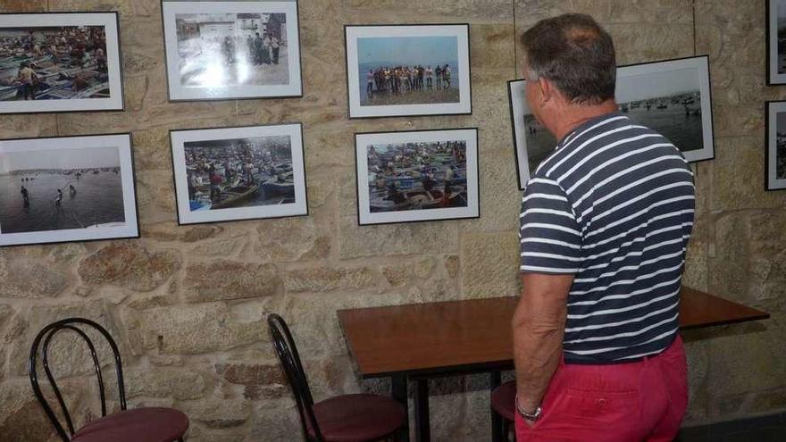 La exposición de la Festa da Ameixa en el Gato Negro de Carril. // Noé Parga