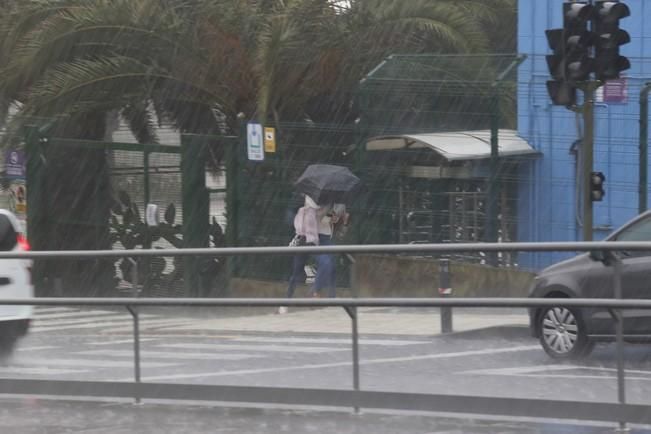 Delia Padrón lluvias , temporal , barrancos ...