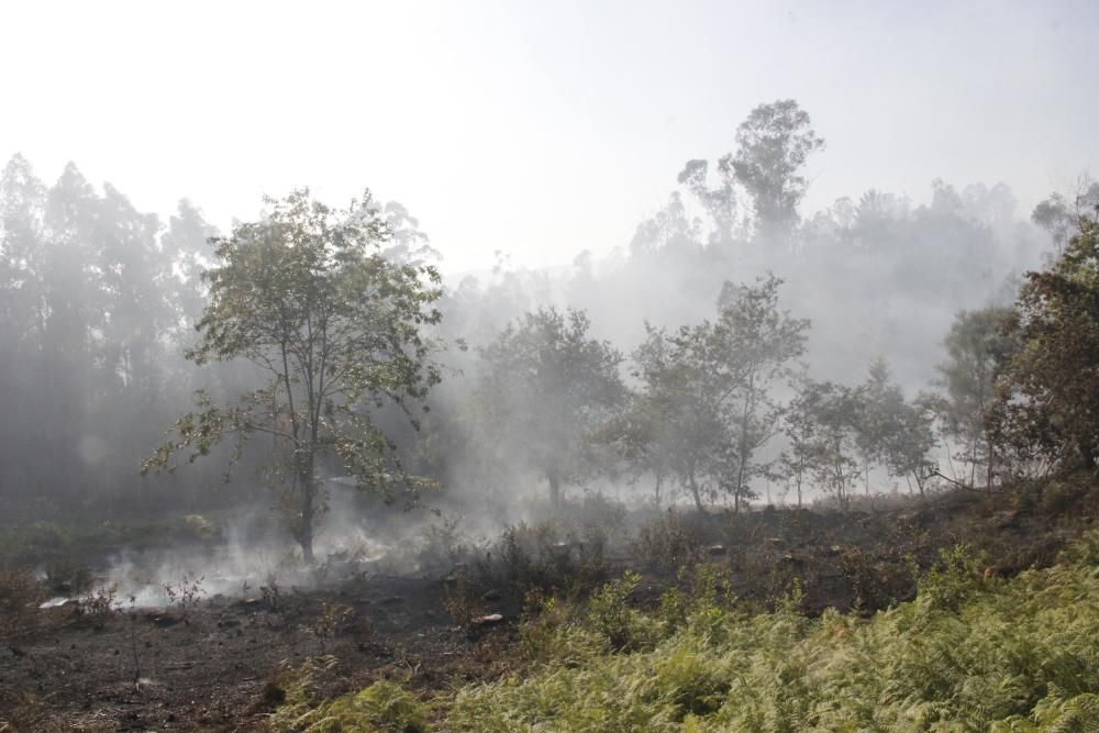 Incendios en Galicia | Segunda jornada de lucha contra el fuego en Cotobade