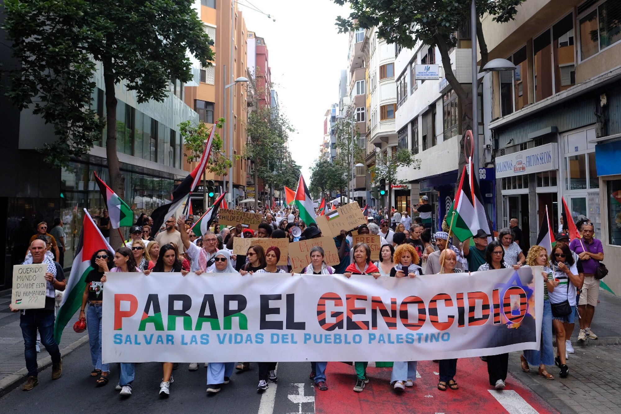  Manifestación en defensa de Palestina en Gran Canaria