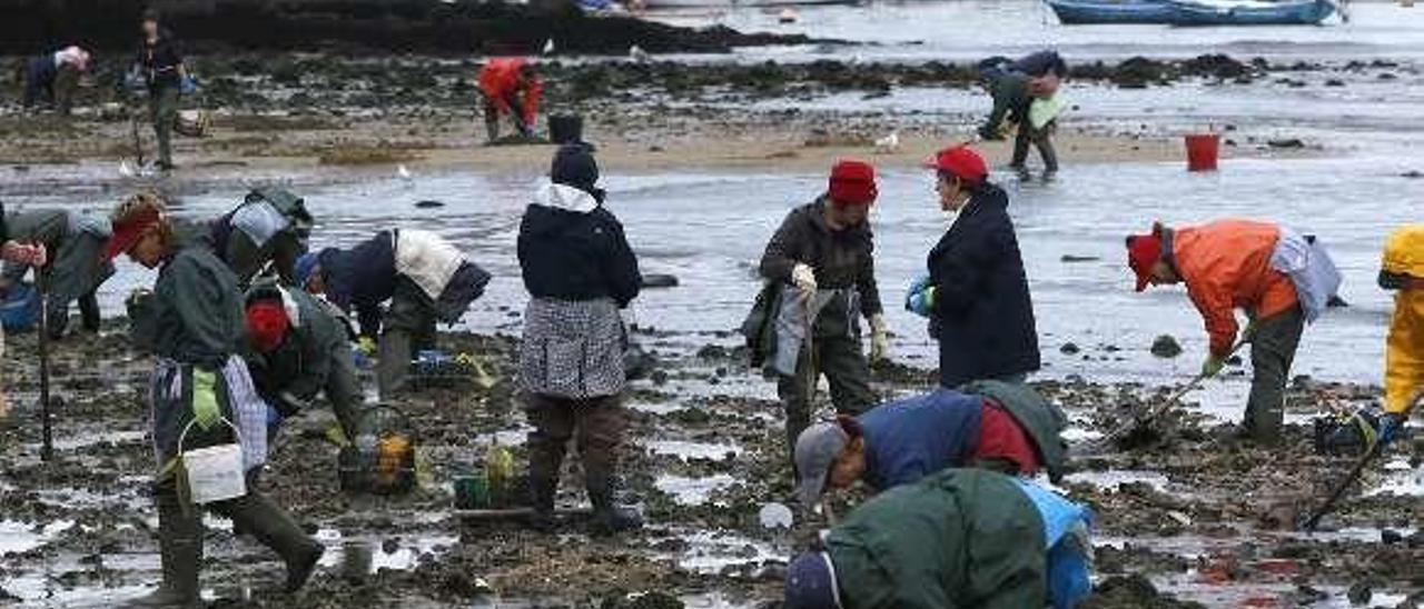 Mariscadoras de Redondela en la playa de Arealonga. // R. Grobas