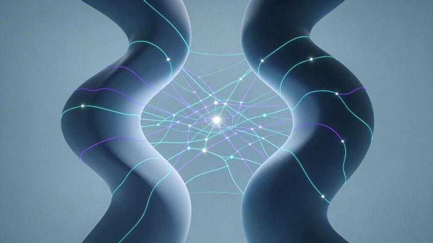 El mapa oculto del placer: lo que la ciencia acaba de descubrir sobre nuestros genitales