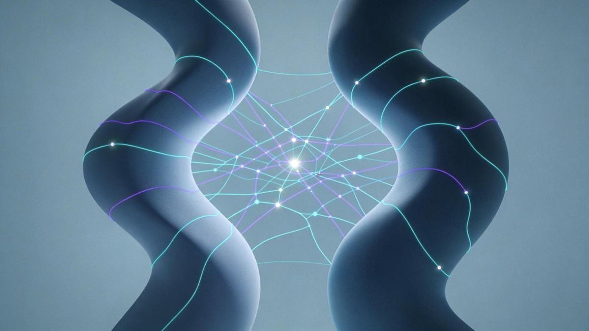 Nueva cartografía conceptual de las redes nerviosas que sustentan el placer genital femenino y masculino.