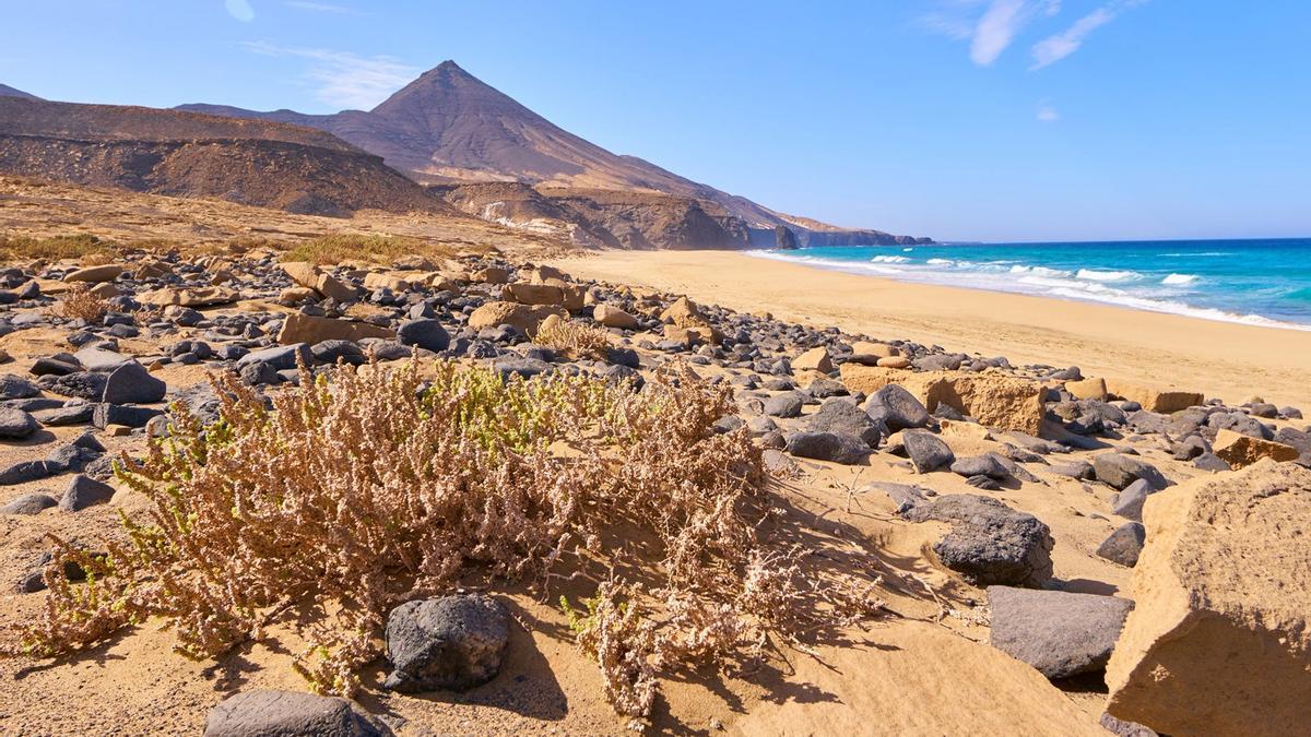 The Five Most Enchanting Beaches of Fuerteventura The Five Most Enchanting Beaches of Fuerteventura