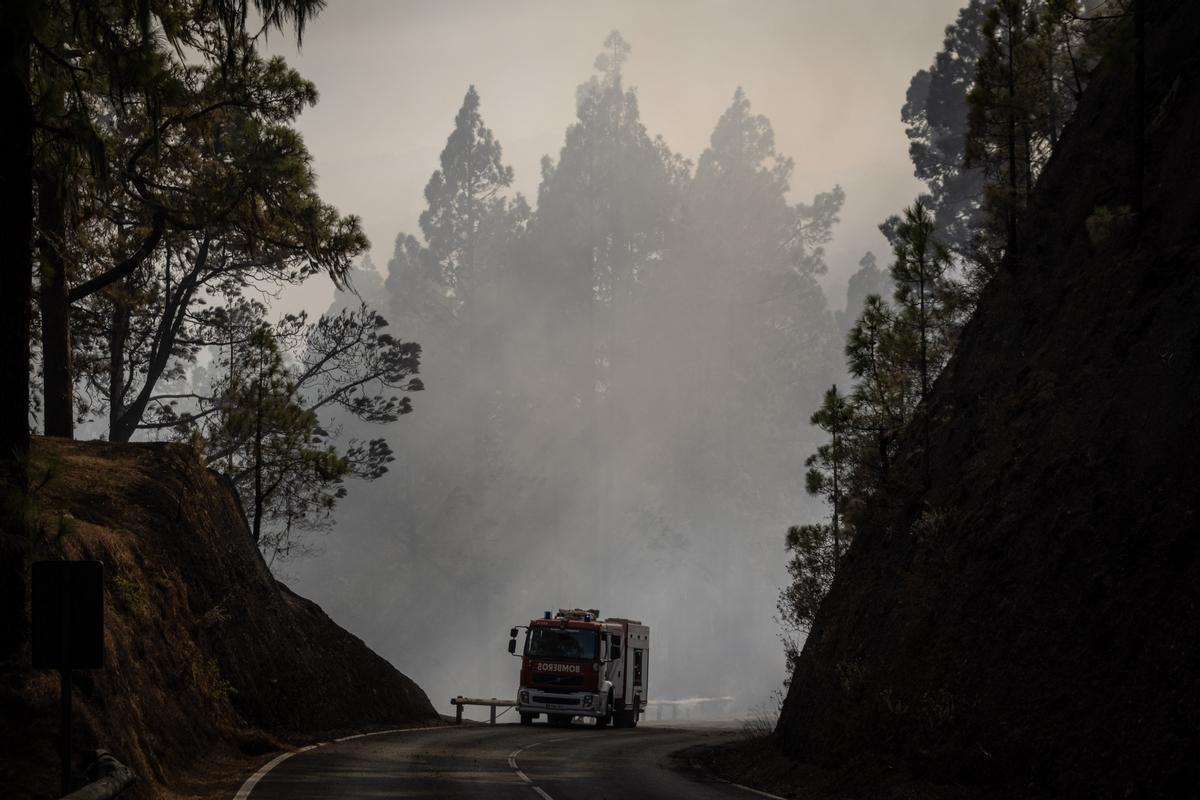 Incendio en Tenerife (22.08)